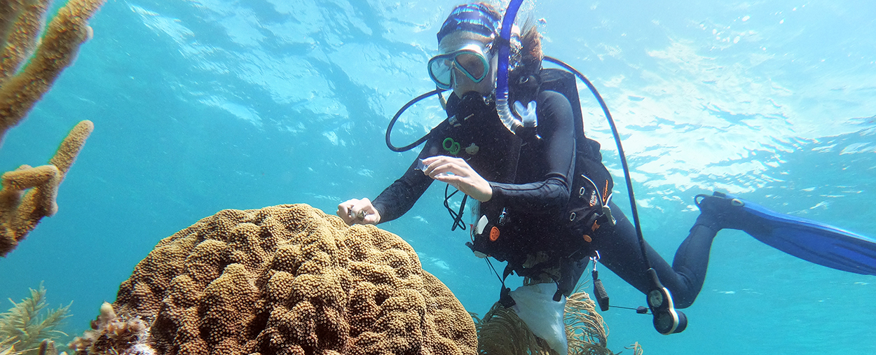 Katherine sampling