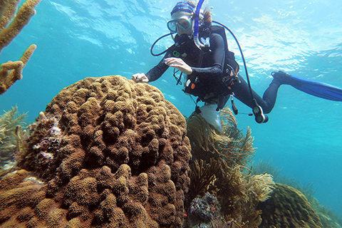 Katherine sampling